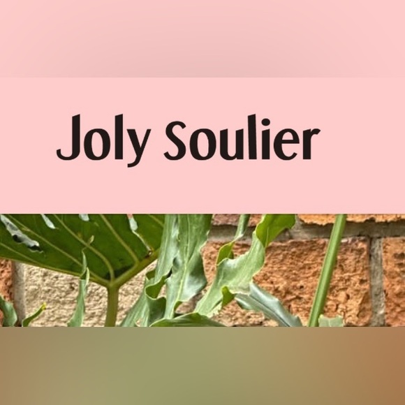 Meet your Posher, Joly - Picture 3 of 3